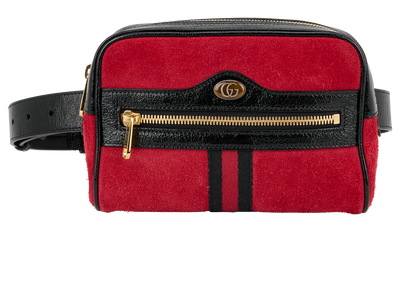 Small Ophidia Belt Bag, front view